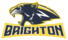Brighton Cougars